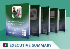Download Executive Summary