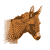 Donkey Orange